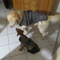 Monti & Theo