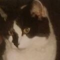 Unsere Prinzessin Pünktchen 