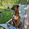 Zara  im  Garten 