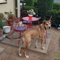 Nach der Arbeit im Garten ganz zufrieden.