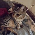 Tiggi❤️