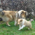 Amy und ihr Sohn Candy