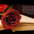 In der Bibel steht ❤️dein❤️ Name steht im Buch des Lebens