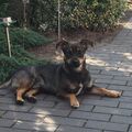 In Love - Manni, Manfred - König der Erste von Tönne ❤️????