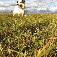 Bonny, mein Leben, meine Liebe