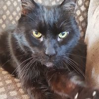 Salem