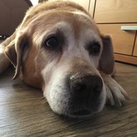 Unser Liebling Emma