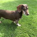 Unser Zobel