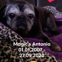 Antonia im Sommer 2020