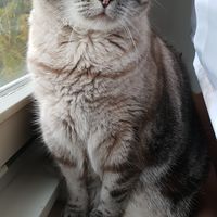 Luna ❤