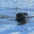 Die zwei sind kleine Wasserratten