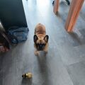 Deine Biene begleitet uns jeden Tag.
Bis bald mein Baby!
