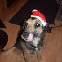 merry x-mas