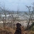 Diggi am Strand von Usedom