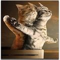 Timmy und  Gatita im Musical CATANIC