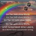 Dem Auge so fern, dem Herzen ewig nah Pepe ❤️