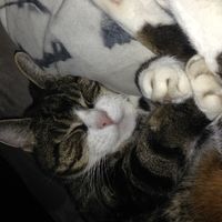 Das war unser größtes Glück wenn er auch mal zuhause schlief.