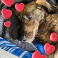 Gute Nacht mein kleiner Engel ❤️❤️❤️Ich Liebe Dich ??