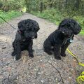 Die beiden Geschwister, links Günni, rechts Biggi
