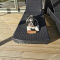 Dein letzter Urlaub 2024....du fehlst so sehr????