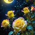 ♥️Gute Nacht♥️