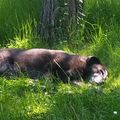 Lieblingsplatz im Garten