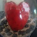 Gina Marie 
We love for ever