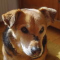 Hallo Benny....du bist nicht allein.