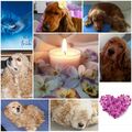 ❤ ❤ ❤ 