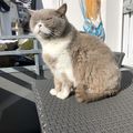 Ein letztes Mal Sonne genießen für die große  Reise. 