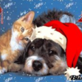 Zur Erinnerung an dich für Weihnachten