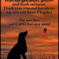 Dem Auge so fern, dem Herzen ewig nah Amy ❤️