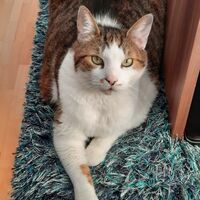 ❤️ Unser Schnucki ❤️
❤️ Lucy ❤️
