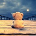 Snowy ❤️liebte ihren Teddy 