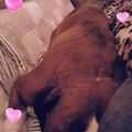 Kuscheln auf der Couch. Es fehlt so sehr 