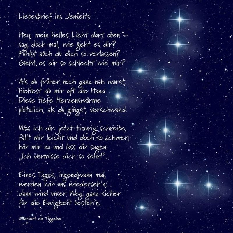 Balu Wir vermissen dich unendlich, du wirst für immer in unseren