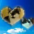 Snoopy und Pünktchen 