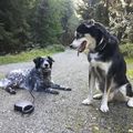 Laika mit Rudi ❤️????