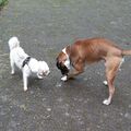 Tucker mit seinem Freund Milow