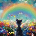 Run free little Angel ♥️