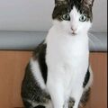 Das war mein Lieschen ????