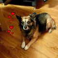 WallE
*01.04.2014 + 04.02.2023