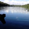 am See