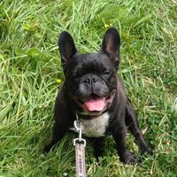 Tyson