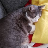 Mein geliebter Engel <3