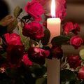 Für die liebe Fellnase Kauka ♥️⭐♥️