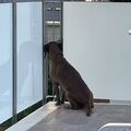 Mallorca - das letzte Mal mit Cleo 