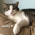 Prinzessin Jacky, gest. 20.11.2024