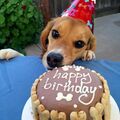 Alles Liebe ♥️♥️♥️♥️