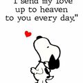 ♥️⭐♥️